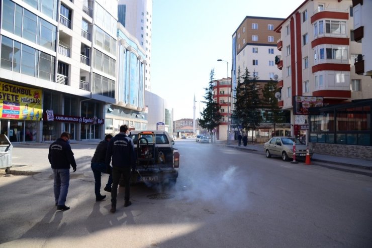 Kahramankazan Belediyesi haşerelerin önüne geçmek için çalışıyor