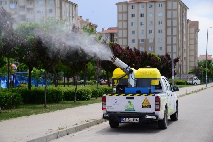 Kahramankazan Belediyesi haşerelerin önüne geçmek için çalışıyor