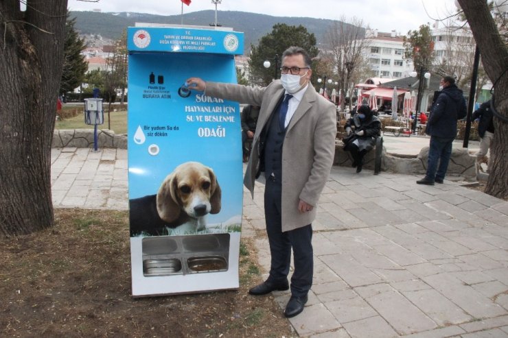 Bu projeyle hem hayvanlar beslenecek hem çevre kirliliği önlenecek