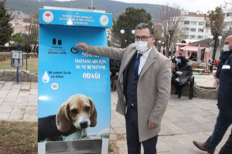 Bu projeyle hem hayvanlar beslenecek hem çevre kirliliği önlenecek