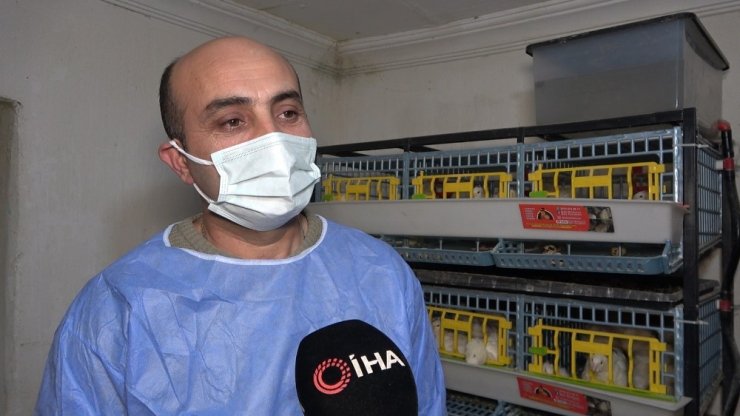 Babasının tedavisi için gittiği doktorun tavsiyesi hayatını değiştirdi: Yurdun dört bir yanına bıldırcın pazarlıyor