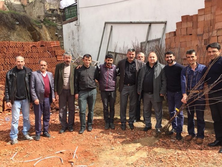 Akdağmadeni’nde meyve fidanı ve tohum satışına başlandı