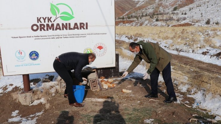 Aksaray’da sokak hayvanlarına yiyecek ve mama bırakıldı