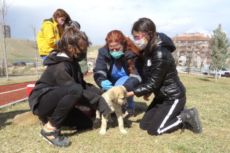 Çankaya aşılama ekibi sahada