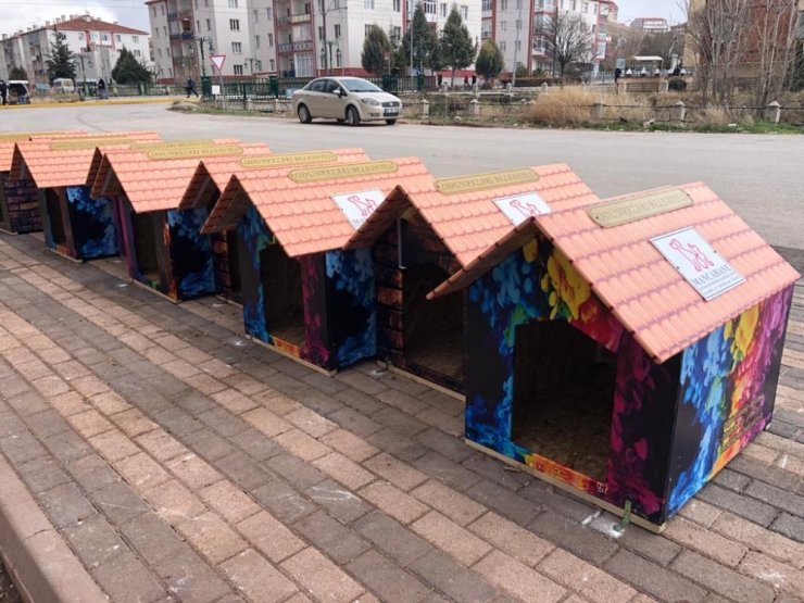 Nasreddin Hoca Parkı’na sokak hayvanları için yeni kulübeler yerleştirildi