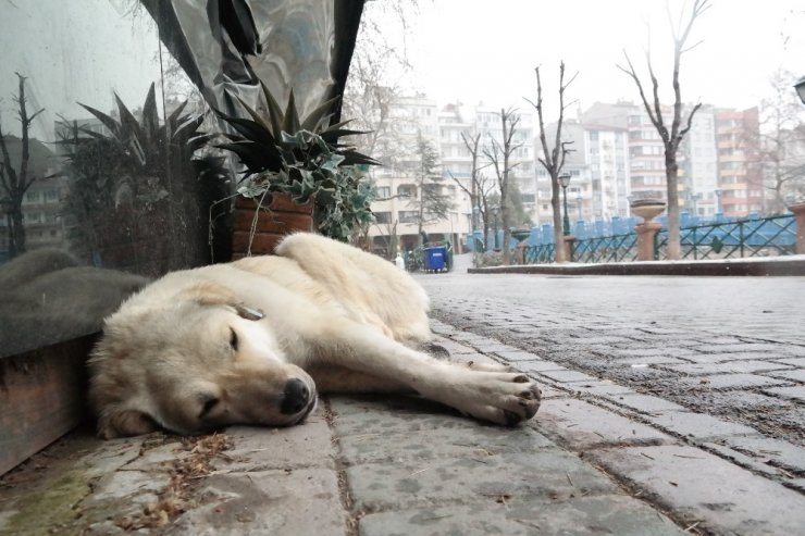 Yoğun kar yağışının getirdiği kartpostallık görüntüler