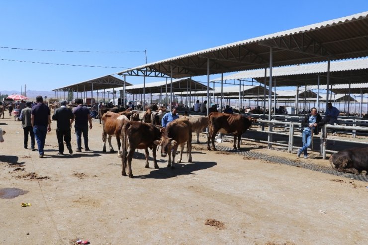 Türkiye’nin en büyüğü, kapatıldı