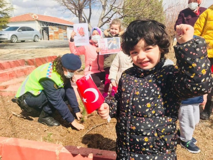 Şehitler anısına fidan dikildi