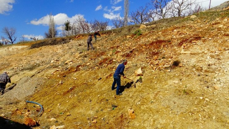 Güneyyurt’ta 3 bin çam fidanı toprakla buluşturuldu