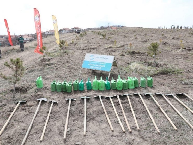 Başkan Çolakbayrakdar, Gara ve Bitlis şehitlerinin anısına ağaç dikti