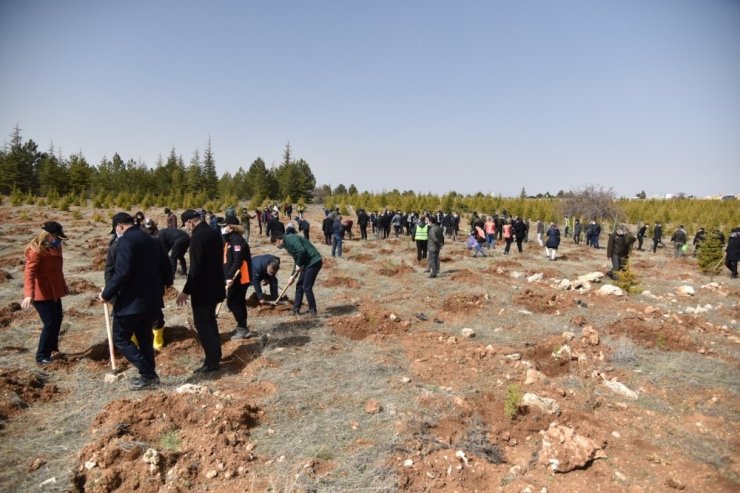 Karaman’da ‘Dünya Ormancılık Haftası’ etkinlikleri