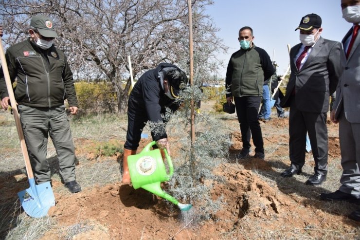 Karaman’da ‘Dünya Ormancılık Haftası’ etkinlikleri