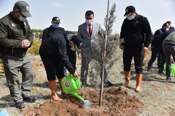 Karaman’da ‘Dünya Ormancılık Haftası’ etkinlikleri