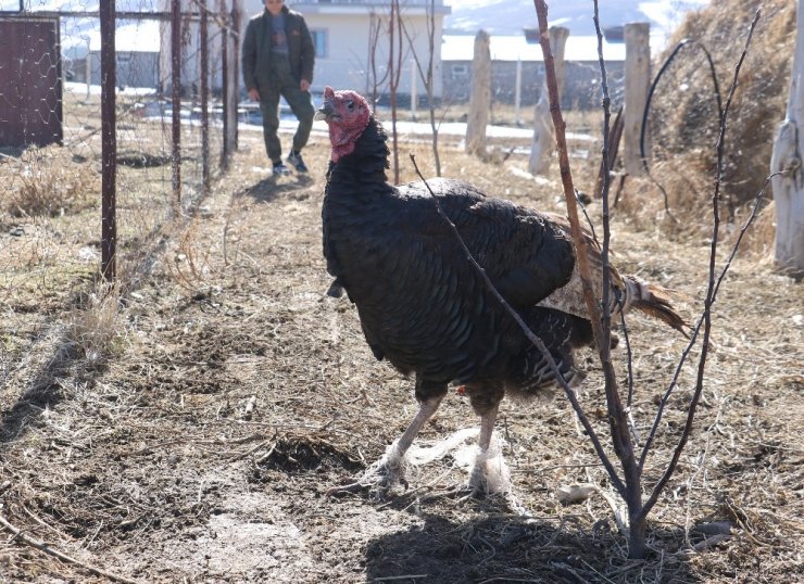 Yaşı küçük kalbi büyük Enver’den örnek davranış