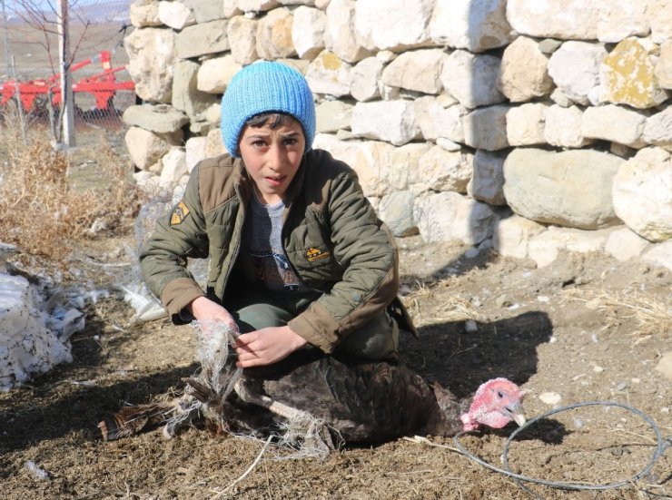 Yaşı küçük kalbi büyük Enver’den örnek davranış