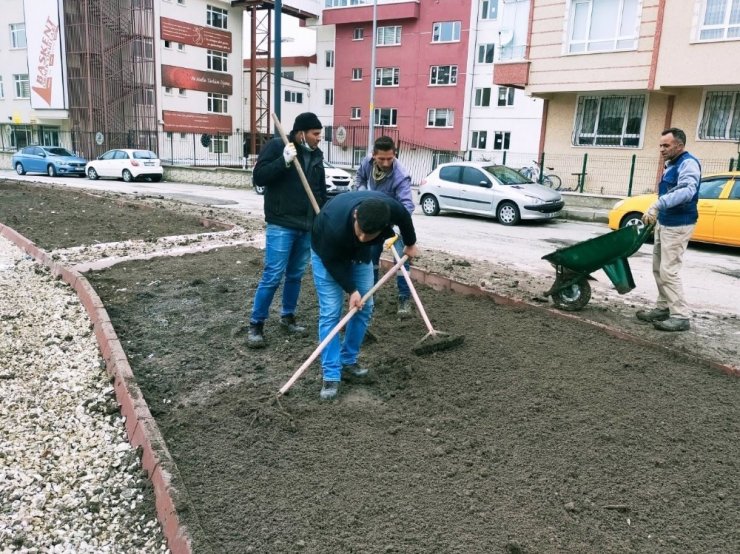 Başkent’te yaza yemyeşil hazırlık