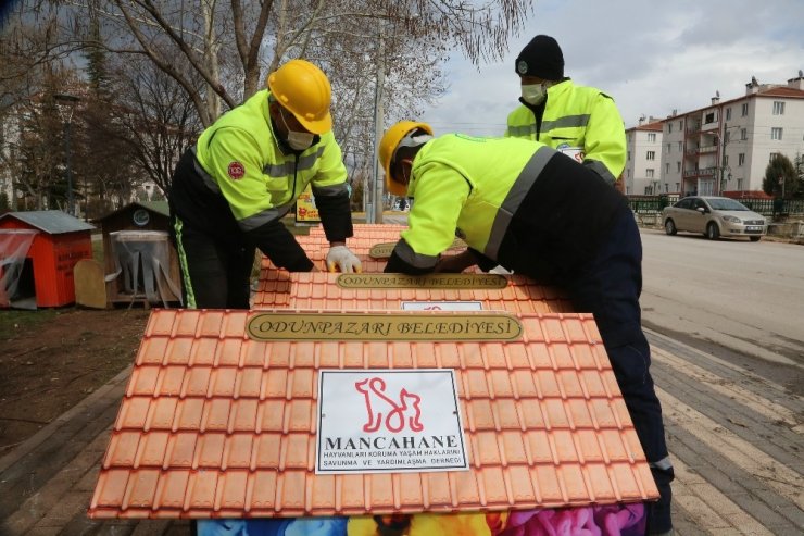 Odunpazarı Belediyesi, sokakta yaşayan hayvanlar için dernekler ile işbirliği içinde