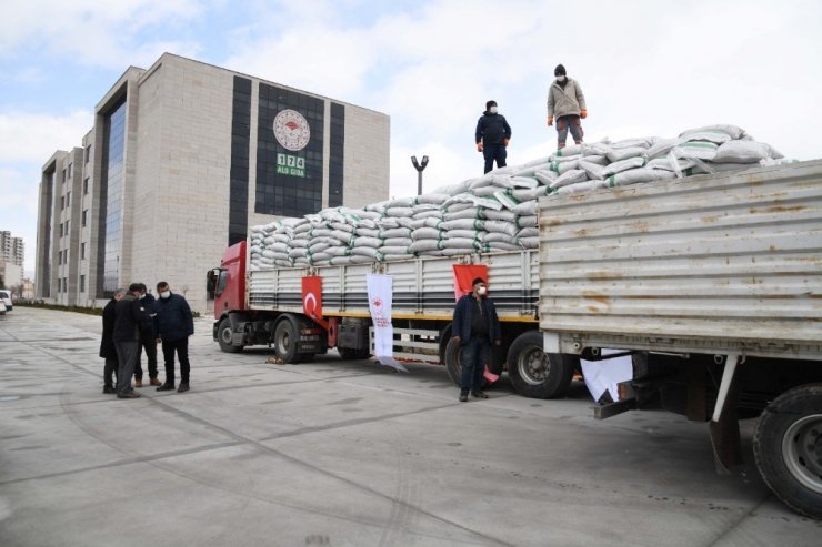 Tohumlar en erken Kayseri’de toprakla buluşturuldu