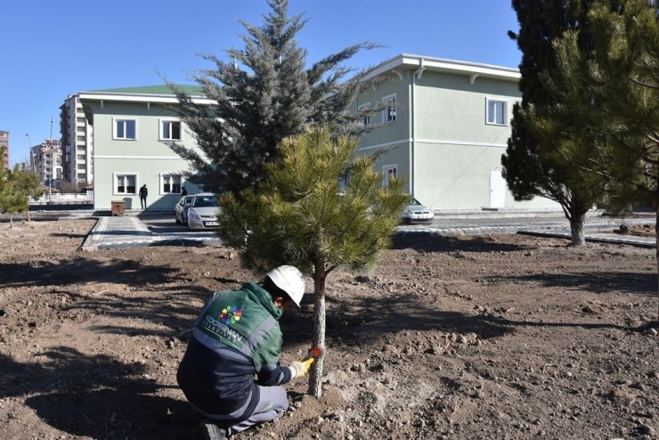 Başkan Çolakbayrakdar: “Yeşil alan miktarı daha da artırılacak"