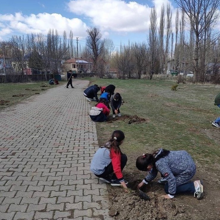 Tomarza’da öğrenciler ve öğretmenler okul bahçelerine ağaç dikti