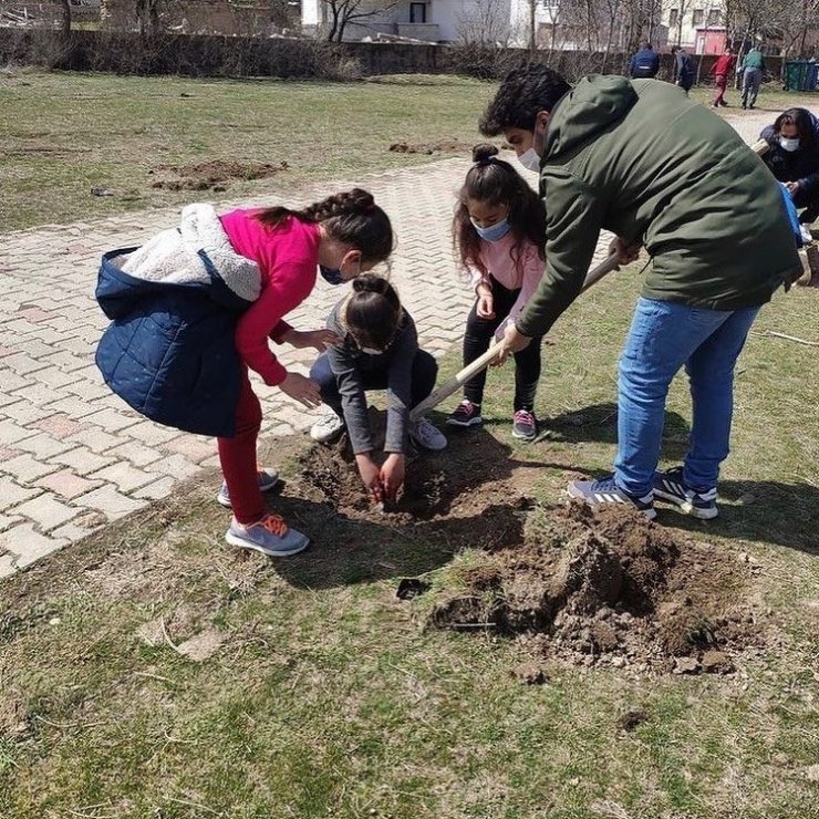 Tomarza’da öğrenciler ve öğretmenler okul bahçelerine ağaç dikti