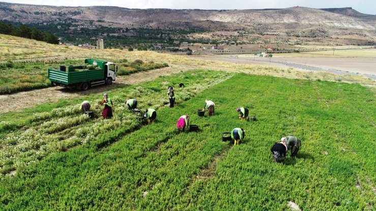 Kocasinan Belediyesi’nden tarımsal kalkınmaya tam destek