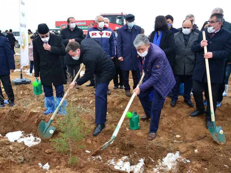 Ahi Evran Kardeşlik Ormanına İlk Fidanlar Dikildi