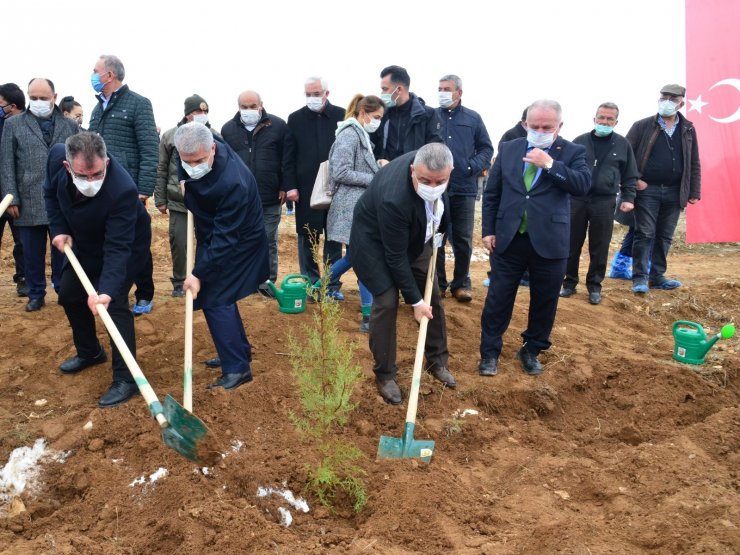 Ahi Evran Kardeşlik Ormanına İlk Fidanlar Dikildi