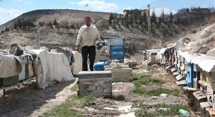 Arı yetiştiricilerinden çiftçilere ’ilaçlama’ uyarısı