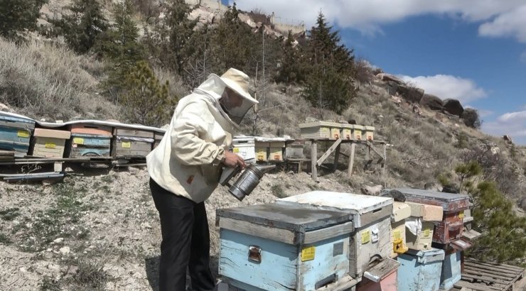 Arı yetiştiricilerinden çiftçilere ’ilaçlama’ uyarısı