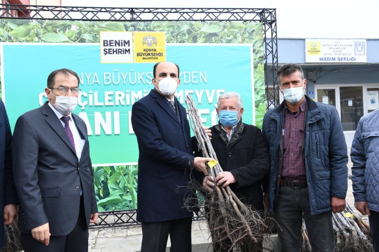 Başkan Altay, Hadimli çiftçilere sertifikalı ceviz fidanı dağıttı