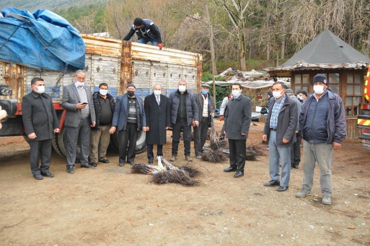 Akşehir’de üreticilere ceviz fidanı dağıtıldı