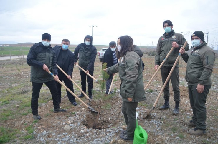 Şehit Neşet Gök Hatıra Ormanı’na yeni fidanlar dikildi