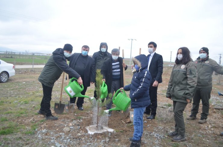 Şehit Neşet Gök Hatıra Ormanı’na yeni fidanlar dikildi