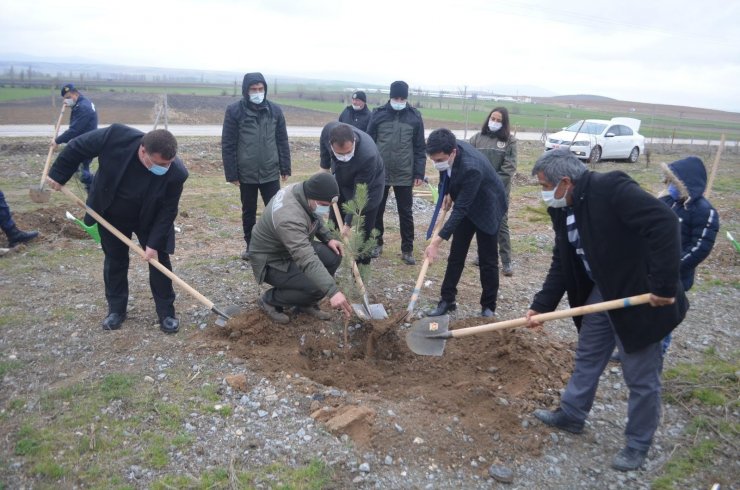 Şehit Neşet Gök Hatıra Ormanı’na yeni fidanlar dikildi