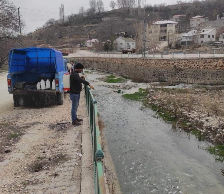 Gürün’de larvalara karşı ilaçlamalar başladı