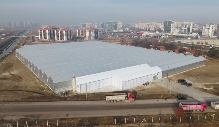 Türkşeker Ankara’da ilk serasını kurdu: İlk ürünler raflarda yerini aldı