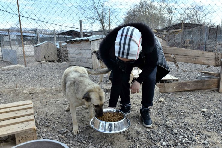 Başkentli hayvanseverler sokak hayvanları için bir araya geldi