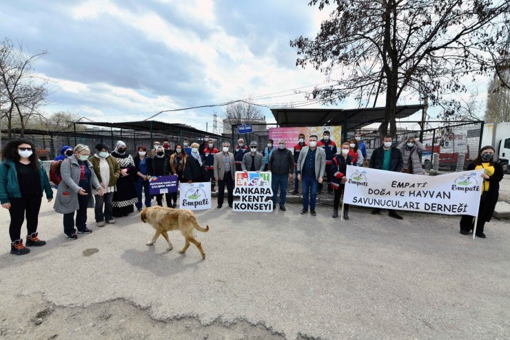 Başkentli hayvanseverler sokak hayvanları için bir araya geldi