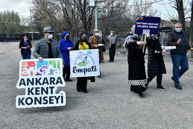 Başkentli hayvanseverler sokak hayvanları için bir araya geldi