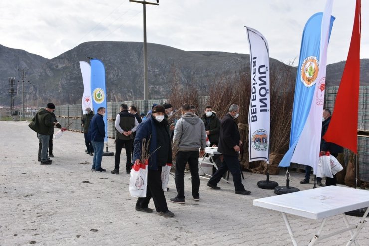 İnönü’de ücretsiz dağıtılan fidanlar nefes olacak