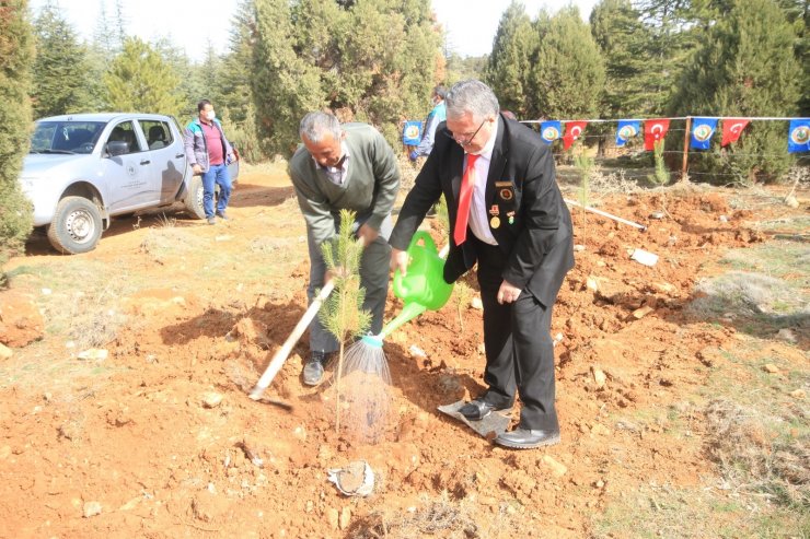 Beyşehir’de şehitler ve gaziler için orman fidanları toprakla buluşturuldu