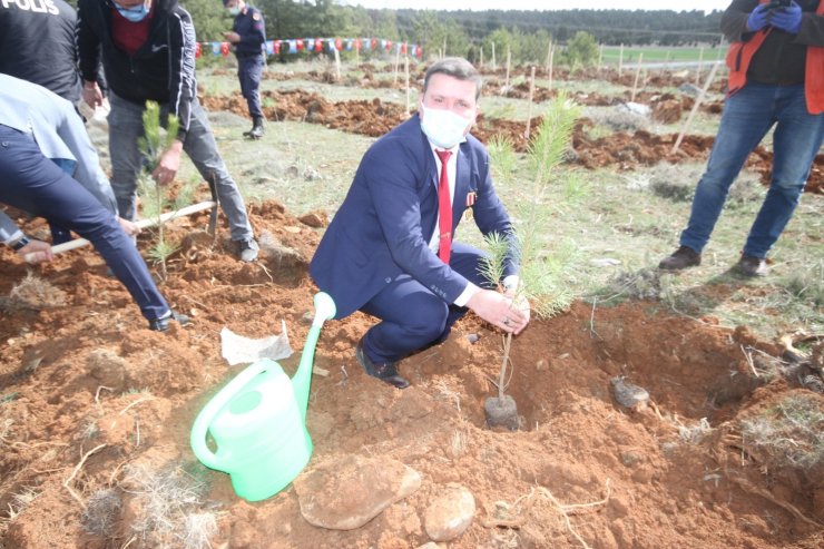 Beyşehir’de şehitler ve gaziler için orman fidanları toprakla buluşturuldu