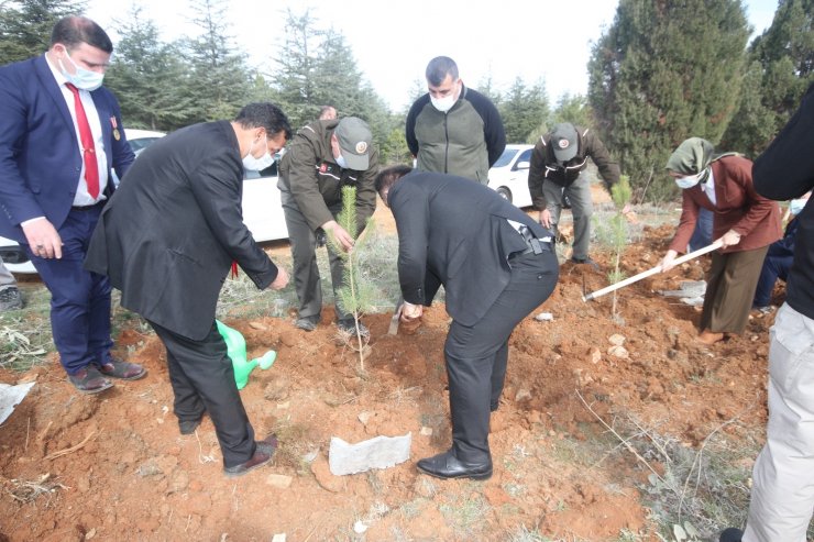 Beyşehir’de şehitler ve gaziler için orman fidanları toprakla buluşturuldu