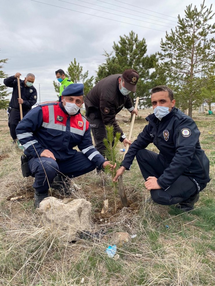 Tomarza’da Türk Polis Teşkilatının 176. yıl dönümünde 176 fidan toprakla buluşturuldu