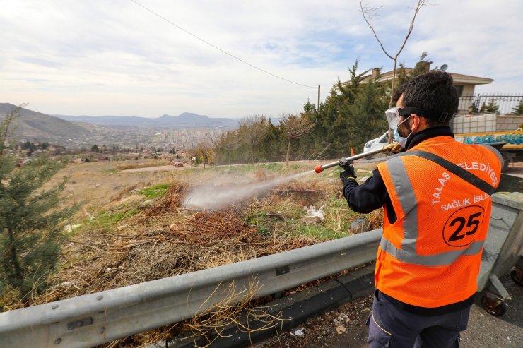 Talas’ta sinek ve haşerata erken önlem