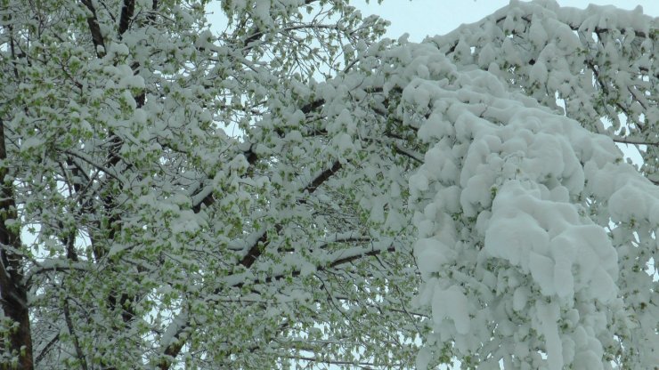 Kayseri’de nisan karı kışı aratmadı