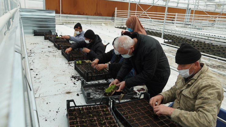 Keçiören Belediyesi seraya ilk tohumları attı