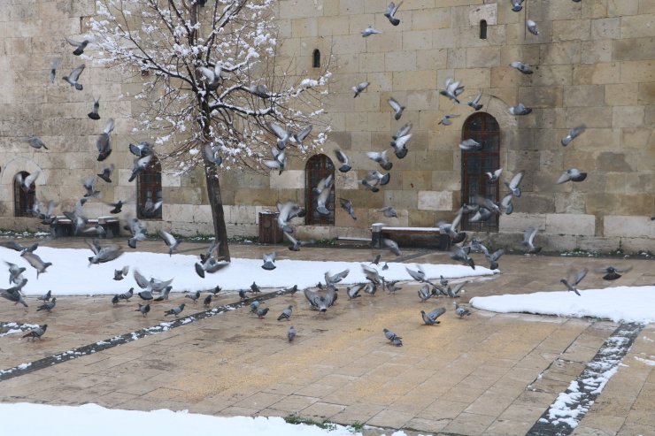 Nisan karı Sivas’ta güzel görüntüler oluşturdu