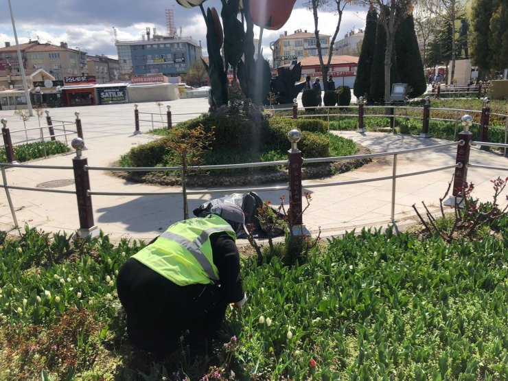 Sincan’da laleler baharı müjdeledi